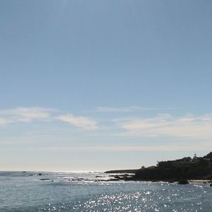 Meet your Posher, Adelaida